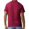Gildan Unisex Crewneck T-Shirt Blanks for Crafting, Cardinal Red Short Sleeve Tee & Printing Projects
